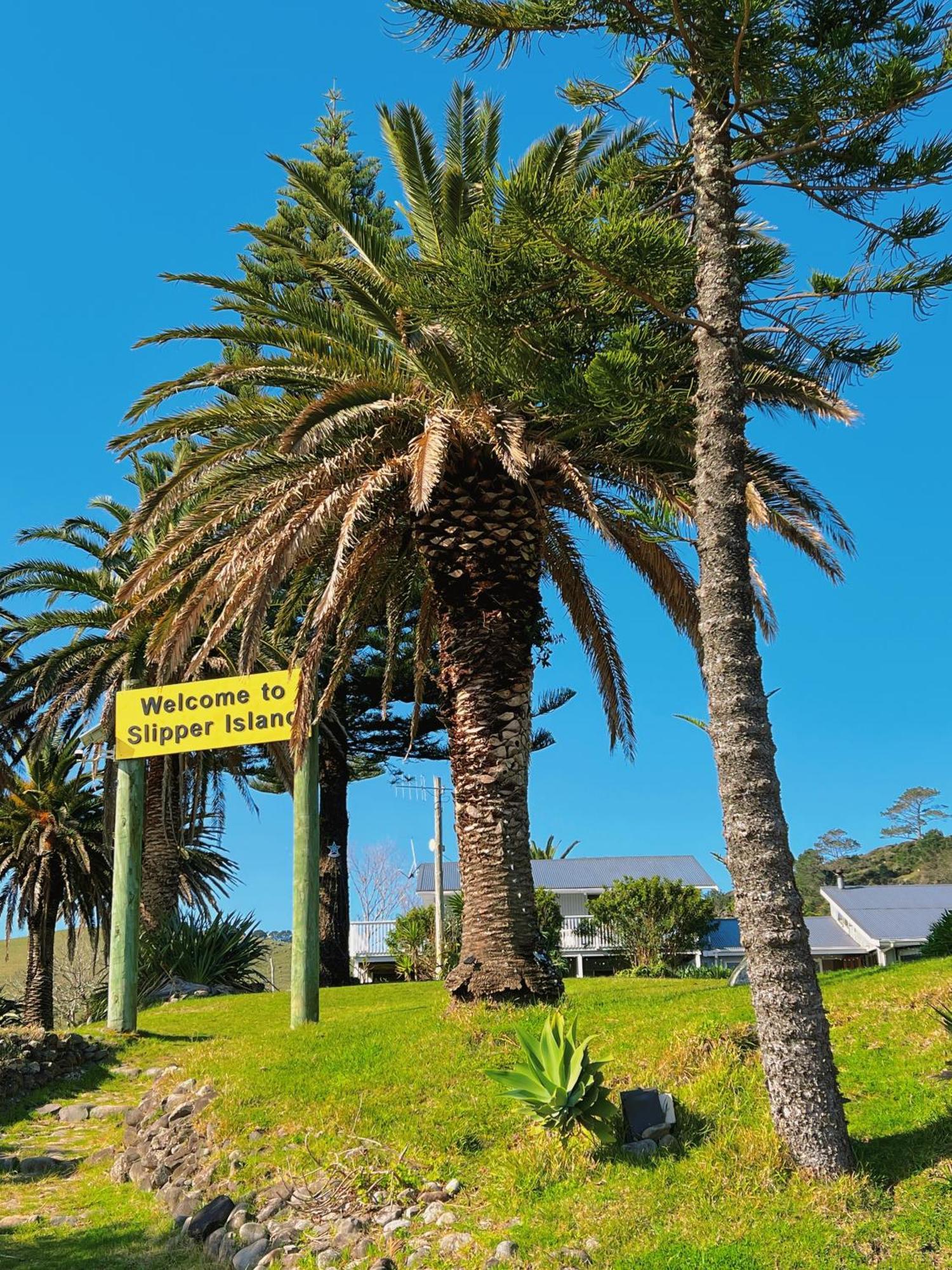 Slipper Island Resort Pauanui Kültér fotó