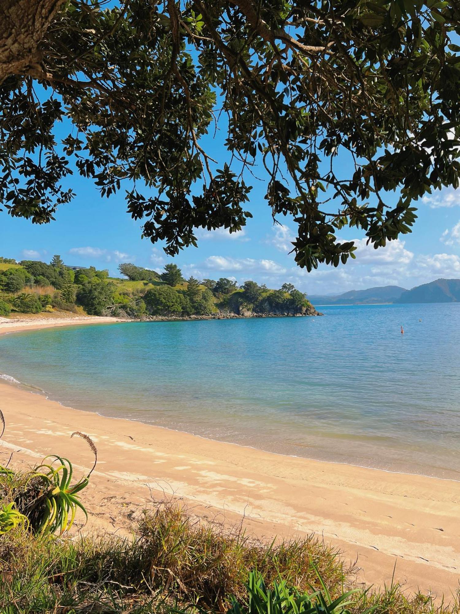 Slipper Island Resort Pauanui Kültér fotó